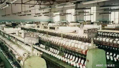 新晉中國女首富的財(cái)富密碼 剖析“年?duì)I收7800億，超華為成最大民企”背后的電信業(yè)務(wù)版圖