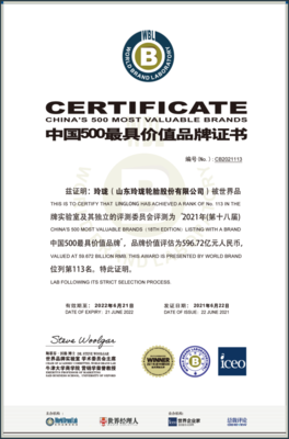 我市兩品牌榮登2021年“中國500最具價值品牌”榜單，節能環保技術開發成亮點