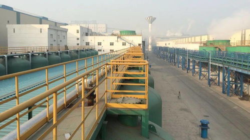 巨擘啟航 中冶節能環保助力鋼鐵企業最大污水處理項目投運